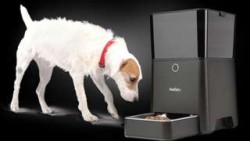 Pets left hungry as smart feeder breaks – BBC News