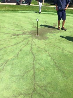 Lightning strikes a golf practice green in Iowa