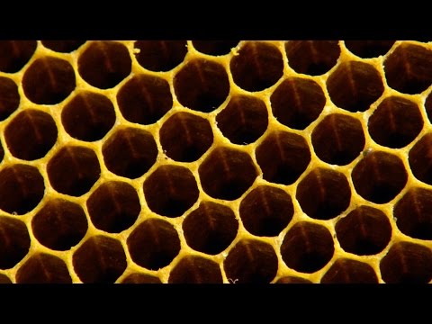 Why do bees build hexagonal honeycombs? – Forces of Nature with Brian Cox: Episode 1 – BBC One – YouTube