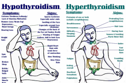 All Signs, Symptoms, Triggers, & Treatments For Hypo & Hyperthyroidism – Collective Evol ...