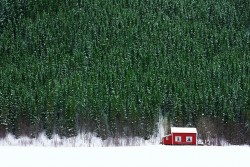 Winter in Norway