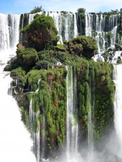 The Waterfall Island at Iguazu Falls