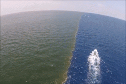 There is a place in the ‪Gulf of Alaska‬ where two oceans meet but don’t mix because of the melt ...