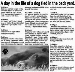 If you cant treat a dog as part of the family then dont have one