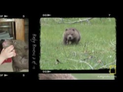 800-pound Best Friend – YouTube