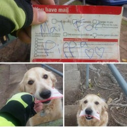 “Sometimes, Pippa comes out for the daily delivery but there’s no mail for her to co ...
