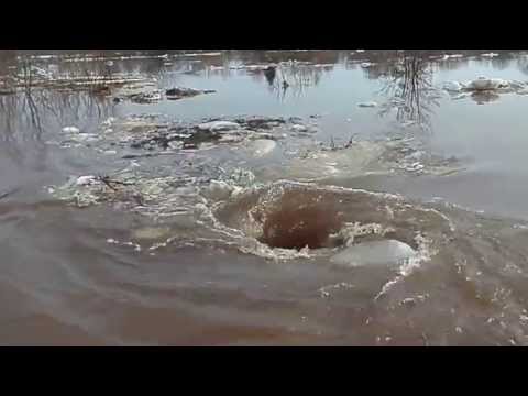 Men in Dviete, Latvia, close to the banks of the Daugava River, found what looked like a small whirlpool. This vortex churns and destroys all that enters its path. It seems that it has been formed by water from the swollen river flowing into an inlet  ...