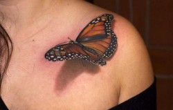 Now THAT is a butterfly tattoo!