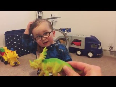 Dinosaurs according to Noel – YouTube