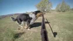 The correct use of a selfie stick