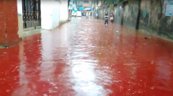 Rivers of blood: Streets of Dhaka turn red after Eid animal sacrifices (PHOTOS, VIDEO) — RT Viral
