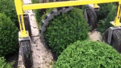 Best way to trim your bush