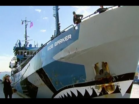 Sea Shepherd Ships Dock After Clash with Japanese Whalers – YouTube