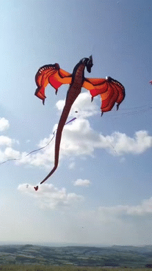 Best kite EVER