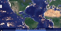 Watch 35,000 Fishing Vessels Move Around the World in This Map