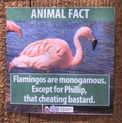A Guy Created Hilarious Fake Animal Facts & Put Them Up At The Zoo
