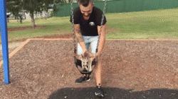 A day out with a man and his kangaroo﻿