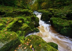 Bolton Strid: A Stream That Swallows People | Amusing Planet