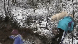 Thanks Human