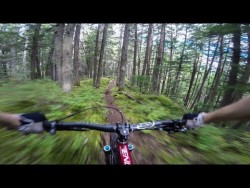 Stabilised Mountain bike trail footage