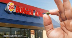 Instead of Solving Rapes and Murders, Cops Spent Months Undercover in Burger King for $75 Pot Bust