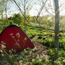 Join Nearly Wild Camping – Nearly Wild Camping