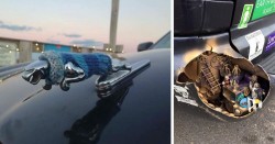 15+ Of The Most Creative Car Owners Ever | Bored Panda