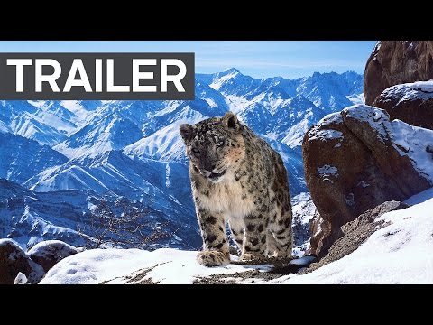 Planet Earth II: Official Extended Trailer – BBC Earth – YouTube