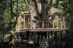 The Woodsman’s Treehouse | HiConsumption