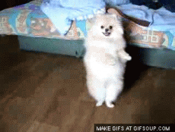 I Salsa!