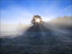 Frosty morning