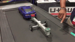 Weight distribution dynamics﻿