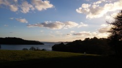 Boomer at Trelissick park