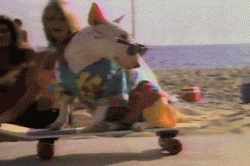 Its the weekend