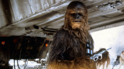 Hearing Chewbacca Speak English on the Empire Strikes Back Set Is So, So Weird
