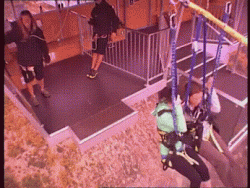 The Nevis Swing In New Zealand﻿