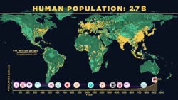 Watch How the World’s Population Has Grown Over the Years -200,000 years to reach our firs ...