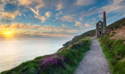 Wheal coates