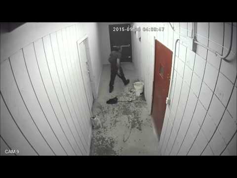 Dumb Criminal Caught in Trap by Owner – YouTube