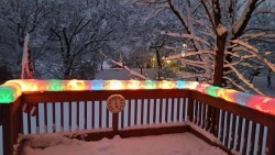 Snow covered Christmas lights