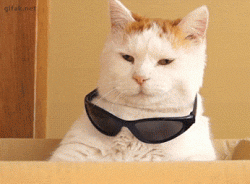Deal with it