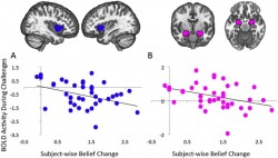 Neural correlates of maintaining one’s political beliefs in the face of counterevidence : Scient ...