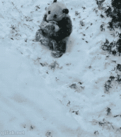 Panda, snowman, panda, snowman
