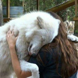 What a beautiful world it would be if people had the heart of dogs ♡