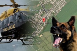 Dozens of armed police officers and dog units called to a serious incident near Redruth | Cornwa ...