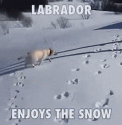 :)