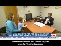 Landon Riddle’s Story: 3 Year old beats Leukemia with cannabis oil (MORE at cureyourowncan ...