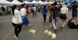 Woman takes pineapple for walk on Ankara??s metro – LOCAL