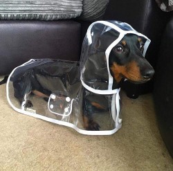 Ready for the rain