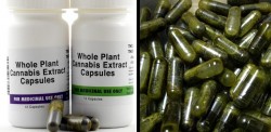 Big Phama Shaking: These New Cannabis Capsules Are So Powerful They Could Replace ALL Pain Kille ...